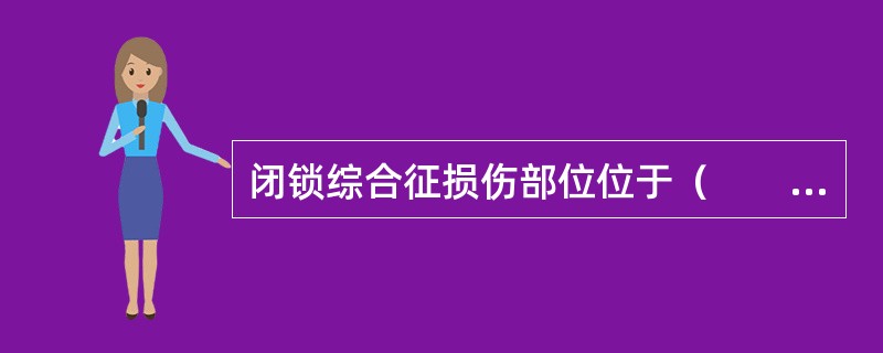 闭锁综合征损伤部位位于（　　）。