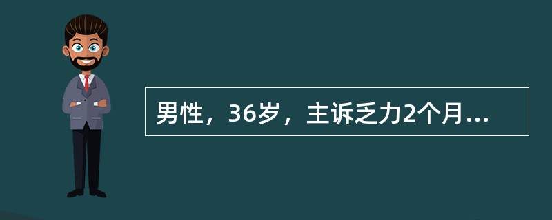 男性，36岁，主诉乏力2个月，伴左上腹饱胀感。体检：浅表淋巴结未及，肝未及，脾肋下5cm。红细胞3.6×1012/L，血红蛋白90g/L，白细胞170×109/L血小板300×109/L。分类：原粒0