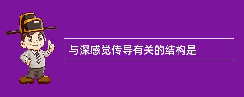 与深感觉传导有关的结构是