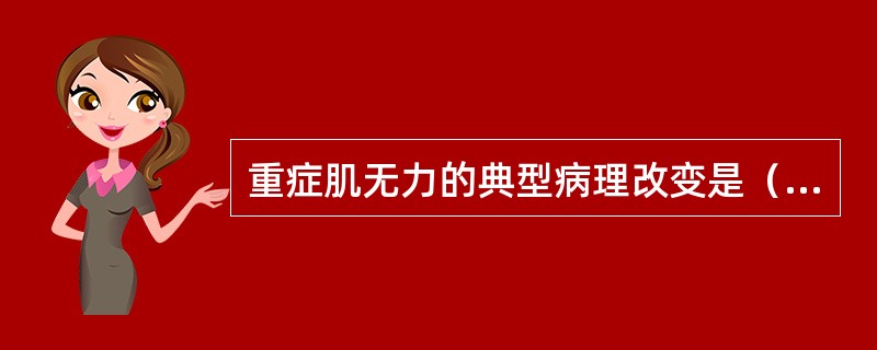 重症肌无力的典型病理改变是（　　）。