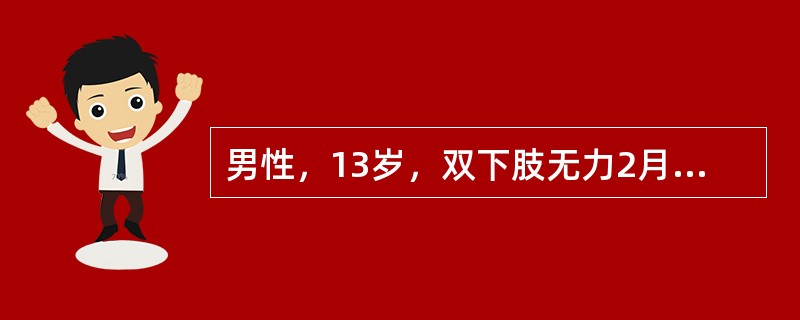 男性，13岁，双下肢无力2月，双下肢肌肉萎缩，膝反射和跟腱反射消失，无病理反射，伴尿便功能障碍。病变部位（　　）。