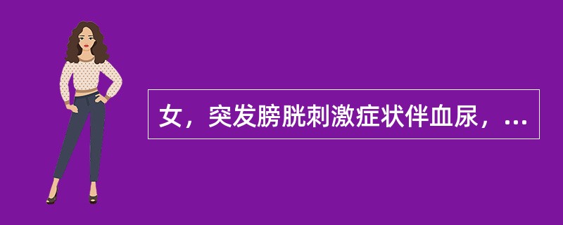 女，突发膀胱刺激症状伴血尿，无发热及腰痛，应先考虑