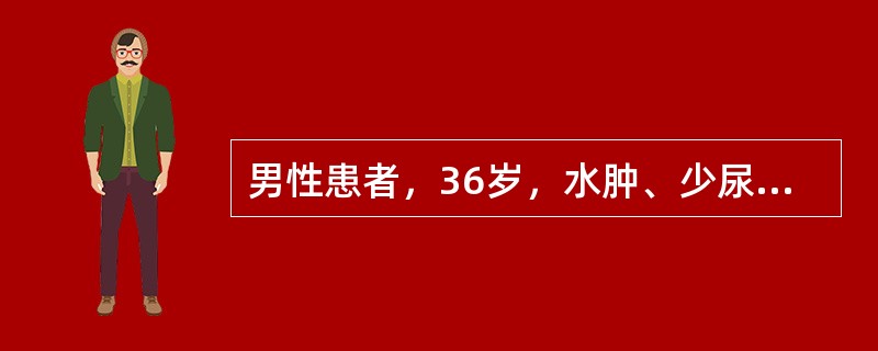 男性患者，36岁，水肿、少尿1个月，鼻出血3天，查体贫血貌，BP：160/90mmHg，Hb80g/L，尿蛋白（++），尿隐血（++），尿RBC 6～8/HP，血肌酐846umol/L，B超左肾9.1