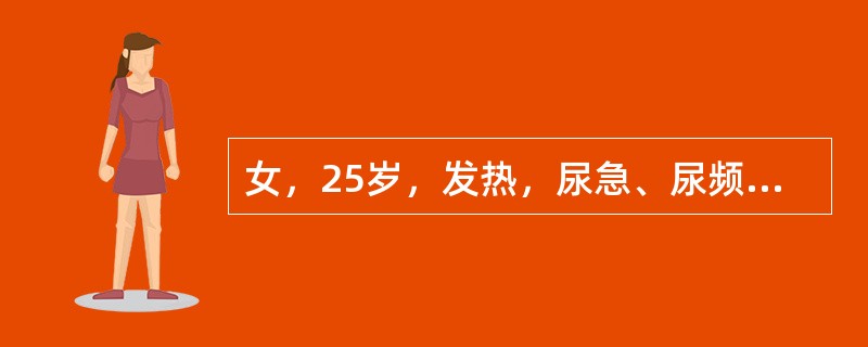 女，25岁，发热，尿急、尿频，伴腰痛1周。尿沉渣白细胞10～20个／HP，可见白细胞管型。最可能的诊断是