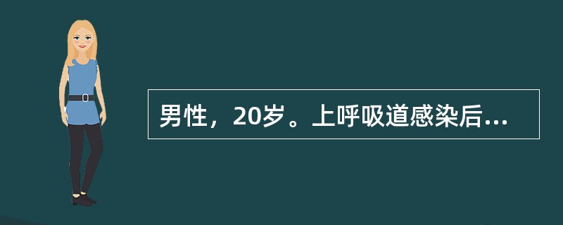 男性，20岁。上呼吸道感染后2周出现少尿、水肿入院，体检：血压23／14kPa(173／105mmHg)，眼睑及皮下水肿明显，两肺底可闻及细小湿啰音。<br />化验：尿液检查蛋白(++)