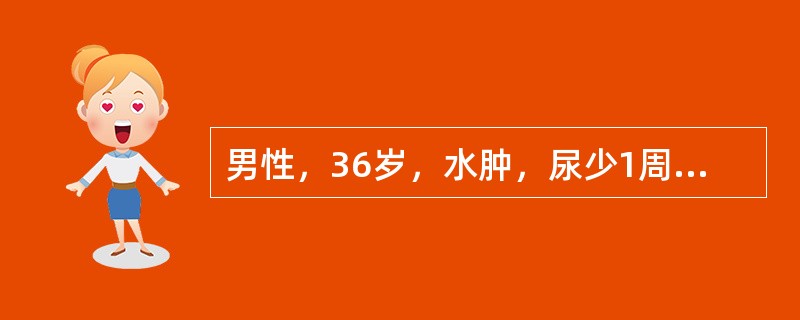 男性，36岁，水肿，尿少1周，血压120/80mmHg，尿常规：蛋白（＋＋＋＋），血浆白蛋白25g/L，24小时尿蛋白定量为9g。<p>主要的治疗包括（　　）。