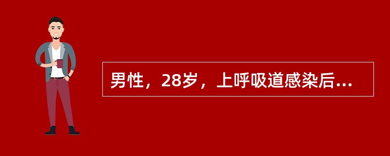 男性，28岁，上呼吸道感染后2周，出现肉眼血尿、颜面浮肿入院，体检：血压20/13.5kPA（150/100mmHg），尿蛋白（+），红细胞满视野，血Cr 180μmol/L。<p>[假设
