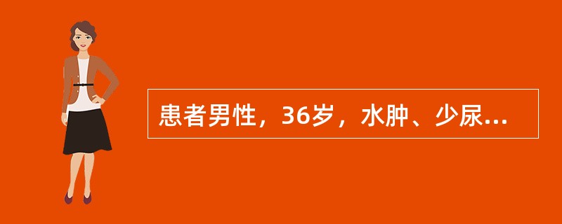 患者男性，36岁，水肿、少尿1个月，鼻出血3天，查体贫血貌，血压160/90mmHg，Hb 80g/L，尿蛋白（＋＋），尿隐血（＋＋），尿红细胞6～8个/HP，血肌酐846μmol/L，B超示左肾9.