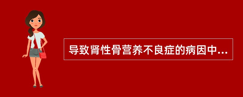 导致肾性骨营养不良症的病因中，下列哪项不正确？（　　）