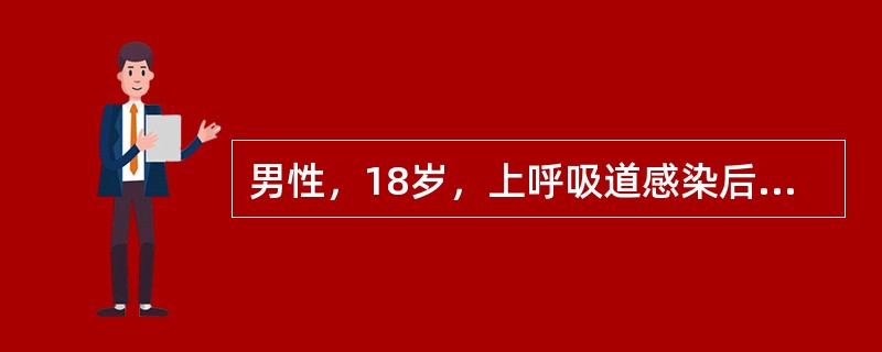 男性，18岁，上呼吸道感染后2周，出现颜面浮肿，肉眼血尿而来院就诊，体检：血压18/12.5kPA（135/94mmHg），尿常规蛋白（++），红细胞满视野，白细胞5～10个/HP。<p>