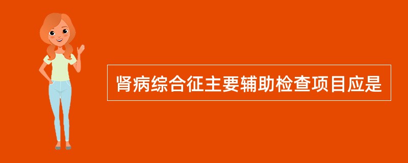 肾病综合征主要辅助检查项目应是