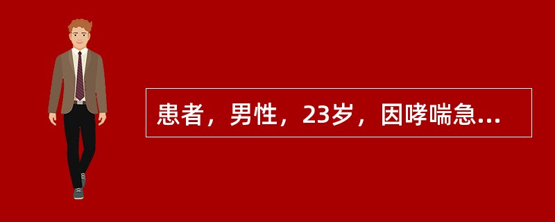 患者，男性，23岁，因哮喘急性发作住院治疗缓解，出院后推荐其长期使用的药物是