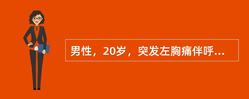 男性，20岁，突发左胸痛伴呼吸困难，体查左肺叩诊鼓音，呼吸音消失最可能的诊断为
