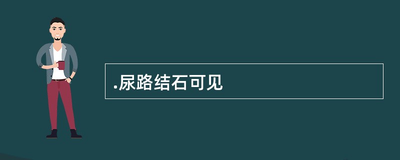 .尿路结石可见