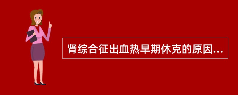 肾综合征出血热早期休克的原因是（　　）。