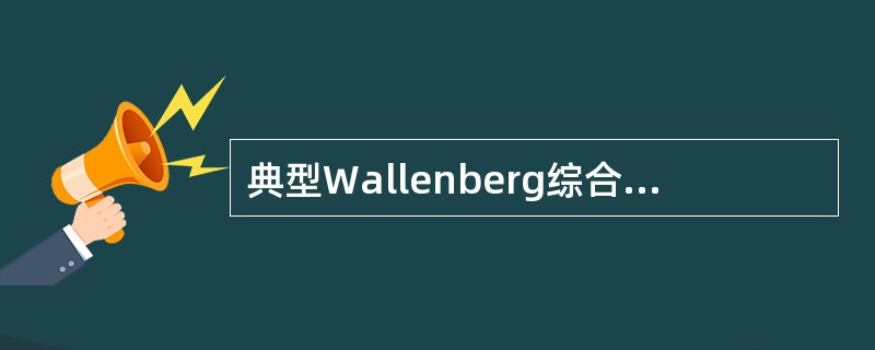典型Wallenberg综合征不应出现的体征是（　　）。