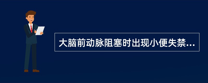 大脑前动脉阻塞时出现小便失禁，是由于损害了（　　）。