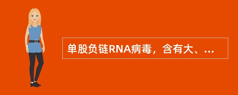单股负链RNA病毒，含有大、中、小三个基因片段，分别编码RNA聚合酶、囊膜糖蛋白G1和G2，以及核蛋白N0该病毒为（　　）。