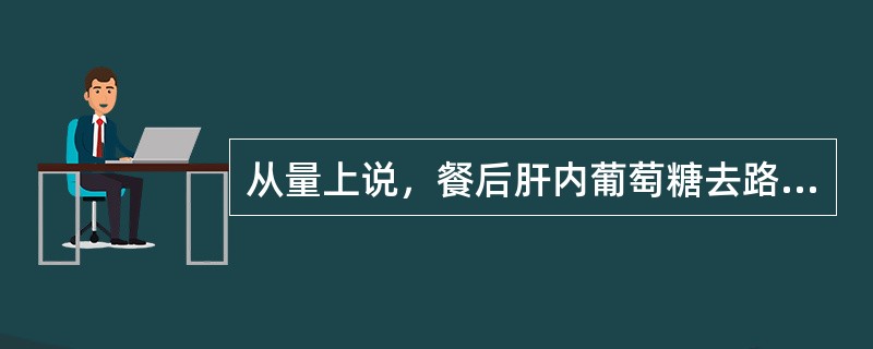 从量上说，餐后肝内葡萄糖去路最多的代谢途径是（　　）。