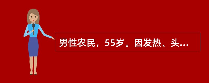 男性农民，55岁。因发热、头晕、鼻出血、皮肤瘀点伴关节酸痛2周来门诊。化验：Hb70g/L，WBC35×109/L，血小板20×109/L，外周血涂片有幼稚细胞。经过3个疗程联合化学治疗，骨髓复查幼稚