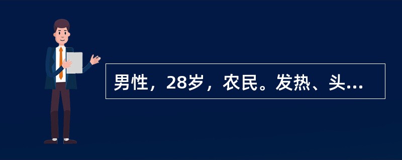 男性，28岁，农民。发热、头痛5天，血尿伴少尿1天。最可能的诊断是（　　）。