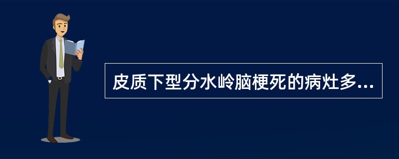 皮质下型分水岭脑梗死的病灶多位于（　　）。