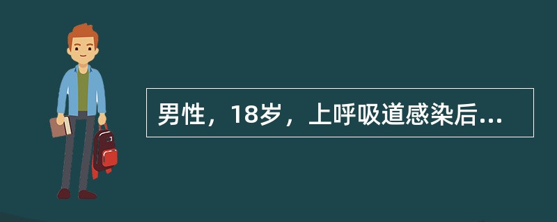 男性，18岁，上呼吸道感染后2天出现血尿，伴低热、腰痛，住院治疗后全身症状好转，但仍有血尿，行肾活检，诊断为IgA肾病。主要依据是（　　）。