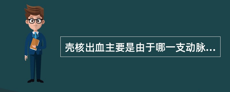 壳核出血主要是由于哪一支动脉破裂引起？（　　）