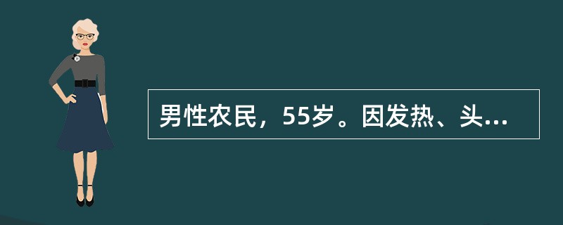 男性农民，55岁。因发热、头晕、鼻出血、皮肤瘀点伴关节酸痛2周来门诊。化验：Hb70g/L，WBC35×109/L，血小板20×109/L，外周血涂片有幼稚细胞。B超显示肝脾肿大，骨髓涂片示增生明显活