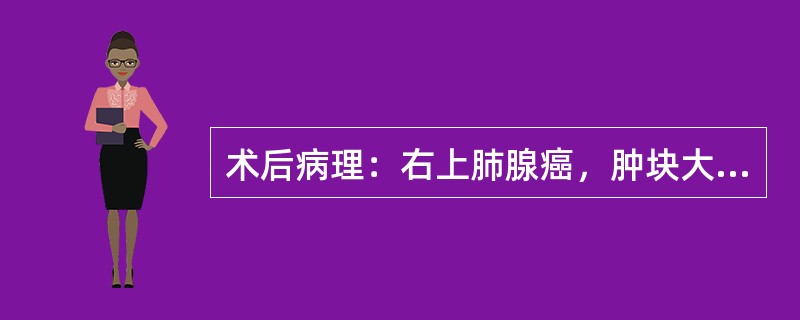 术后病理：右上肺腺癌，肿块大小为2cm×3cm×2cm，胸膜及支气管切端未见肿瘤累及，淋巴结未见转移，其病理分期为（　　）。