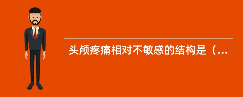 头颅疼痛相对不敏感的结构是（　　）。