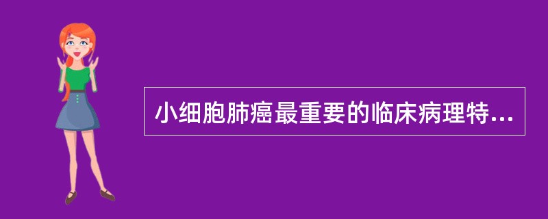 小细胞肺癌最重要的临床病理特点包括（　　）。