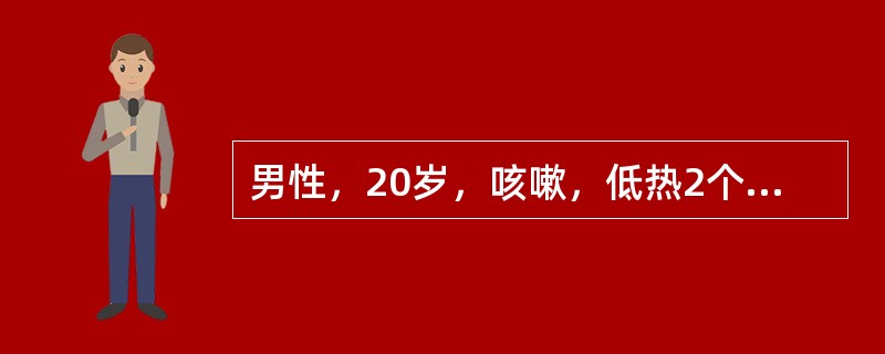 男性，20岁，咳嗽，低热2个月，咯血1周，体检右上肺可闻湿啰音，X线胸片示右上肺后段炎性阴影，其中可见透亮区，血沉30mm/h，最可能的诊断是（　　）。