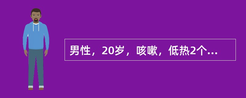 男性，20岁，咳嗽，低热2个月，咯血1周，体检右上肺可闻湿啰音，X线胸片示右上肺后段炎性阴影，其中可见透亮区，血沉30mm/h，最可能的诊断是（　　）。