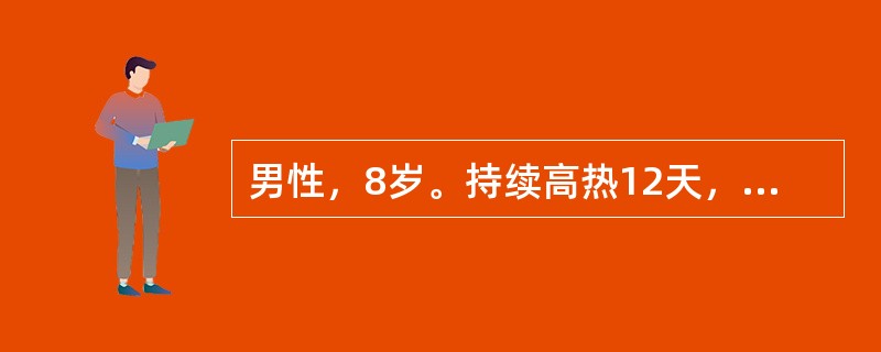 男性，8岁。持续高热12天，伴腹泻每日3～5次，右下腹隐痛住院。体验：肝肋下2cm，脾肋下5cm。化验：WBC2.5×109/L，杆状粒细胞0.10（10%），N0.60（60%），L0.30（30%