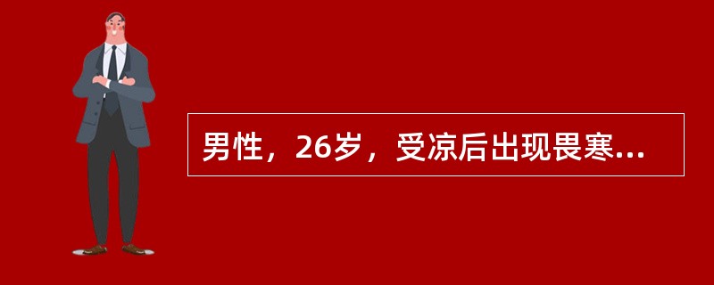 男性，26岁，受凉后出现畏寒，体温39℃，伴左侧胸痛，咳少量白痰。胸透示左下肺野大片淡薄阴影，应用青霉素治疗1天后，体温接近正常。最可能的诊断是（　　）。