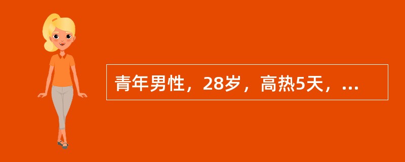 青年男性，28岁，高热5天，后出现咳嗽，伴左侧胸痛，并咳铁锈色痰。可能的诊断（　　）。