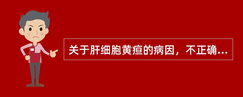 关于肝细胞黄疸的病因，不正确的是（　　）。