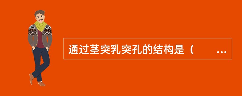 通过茎突乳突孔的结构是（　　）。