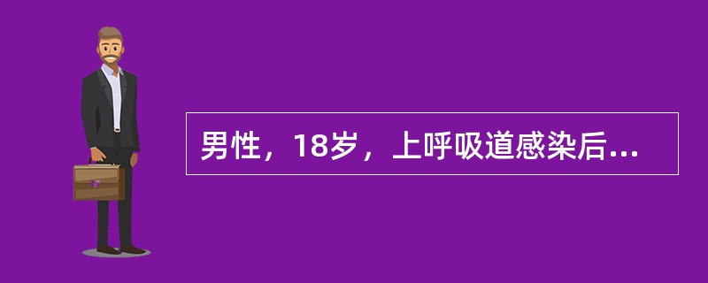 男性，18岁，上呼吸道感染后2天出现血尿，伴低热、腰痛，住院治疗后全身症状好转，但仍有血尿，行肾活检，诊断为IgA肾病。主要依据是（　　）。