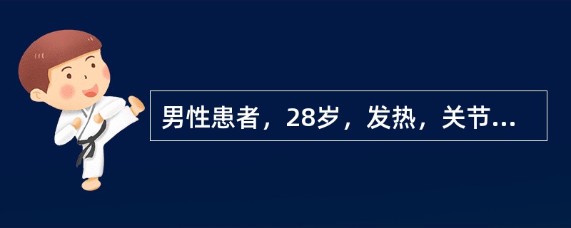 男性患者，28岁，发热，关节疼痛半年，晒太阳后面部出现红斑。查体：全身淋巴结肿大，质软、活动、无压痛；尿蛋白（＋＋），抗链“O”（＋），抗核抗体阳性，抗双链DNA抗体阳性。最可能的诊断为（　　）。