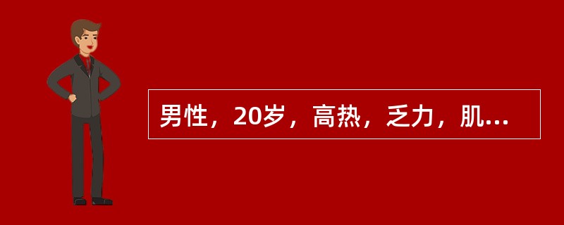 男性，20岁，高热，乏力，肌肉酸痛，伴鼻塞1天，同班同学中数人有同样症状，最可能是下列哪种诊断？（　　）