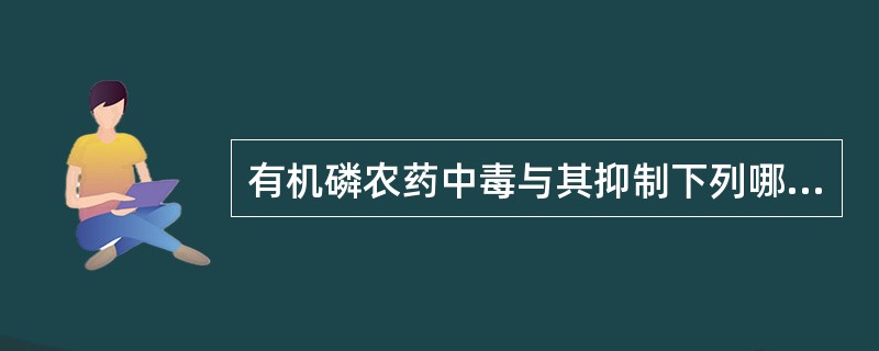 有机磷农药中毒与其抑制下列哪种酶活性有关？（　　）