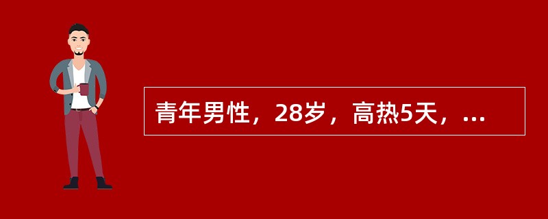 青年男性，28岁，高热5天，后出现咳嗽，伴左侧胸痛，并咳铁锈色痰。可能的诊断（　　）。