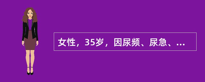 女性，35岁，因尿频、尿急、尿痛2天就诊，体检：体温38.5℃，右肾区叩痛明显，尿常规蛋白（++）、白细胞满视野，红细胞10～15个/HP。<p>此时应予以的处理是（　　）。