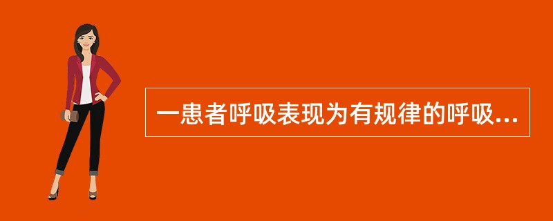 一患者呼吸表现为有规律的呼吸几次后，突然停止一段时间，又开始呼吸，周而复始，这种呼吸节律叫做（　　）。