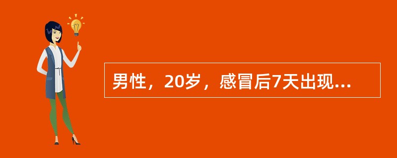 男性，20岁，感冒后7天出现颜面及双下肢水肿，尿少。查：血压160/100mmHg，尿蛋白（＋＋），尿沉渣：红细胞（＋＋），SCr 130μmol/L。2周后少尿，BUN 28mmol/L，SCr 6