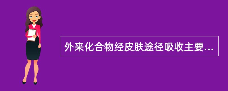 外来化合物经皮肤途径吸收主要通过（　　）。