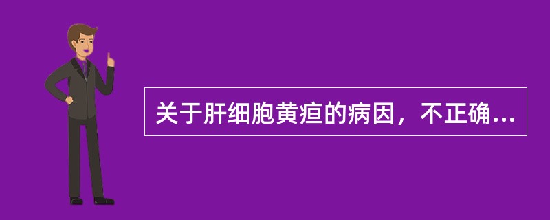 关于肝细胞黄疸的病因，不正确的是（　　）。