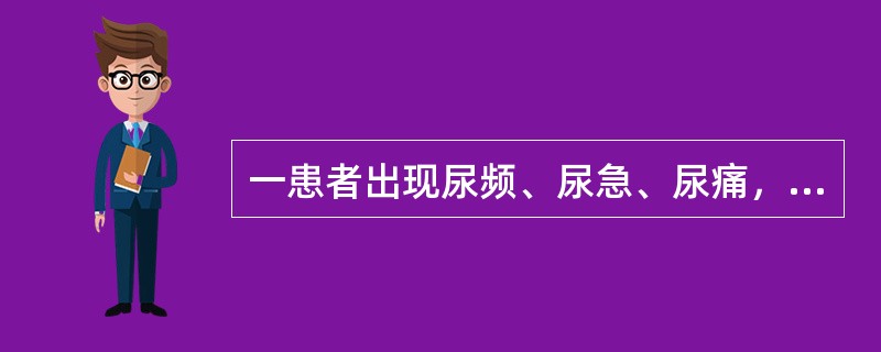 一患者出现尿频、尿急、尿痛，同时伴有腰痛、高热畏寒，考虑哪种疾病可能性大？（　　）